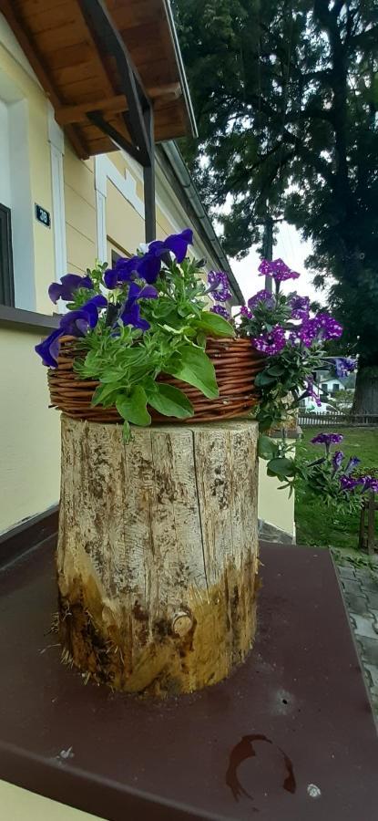 Penzion U Draci Skaly Hotel Svojse Екстериор снимка